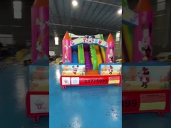 SGS Commercial Inflatabile Scivoli d'acqua a tema di cartone animato Bambino Casa rimbalzo Soffiare Up Jump House