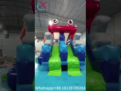 Commercial Grade gonfiabile Slide asciutto Figura di rana gonfiabile Slide doppio alto per bambini e adulti