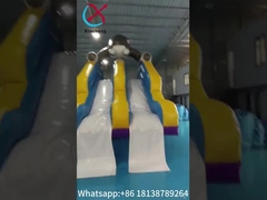 Disegni animati gonfiabili castello a schiena a doppio scivolo disegni giganti gonfiabili squalo per bambini e adulti