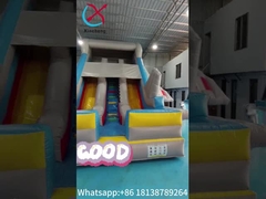 Commerciale gonfiabile scivolo asciutto modello di aereo doppio scivolo castello gonfiabile per bambini e adulti