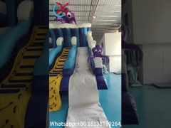 Questo nuovo scivolo gonfiabile a secco a doppio scivolo a tema di polpo marino offre un'esperienza di gioco divertente e unica.