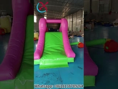 Stampa digitale Slide secco gonfiabile Slide gonfiabile piccolo Elefante rosa Per all' esterno all' interno