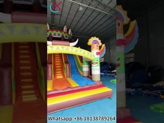 Slide gonfiabile commerciale Slide gonfiabili esotici doppi secchi