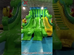 Slide gonfiabile commerciale Slide gonfiabili doppi secchi all'aperto