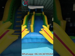 Slide gonfiabili commerciali Slide gonfiabili asciutti all'aperto