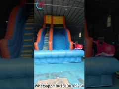 Slide gonfiabili commerciali Slide gonfiabili asciutti all'aperto