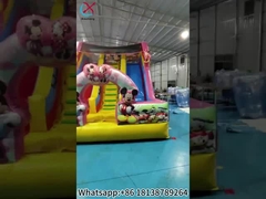 Scivolo gonfiabile Mickey e Minnie Scivolo gonfiabile doppio asciutto castello