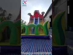 Slide gonfiabile tigre cartone animato slide gonfiabili doppio asciutto per bambini