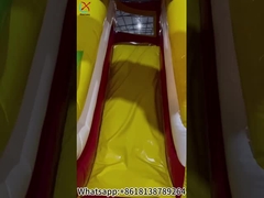 Lo Zoo Inflatabile Fun City Inflatabile Bouncy House Slide Castle
