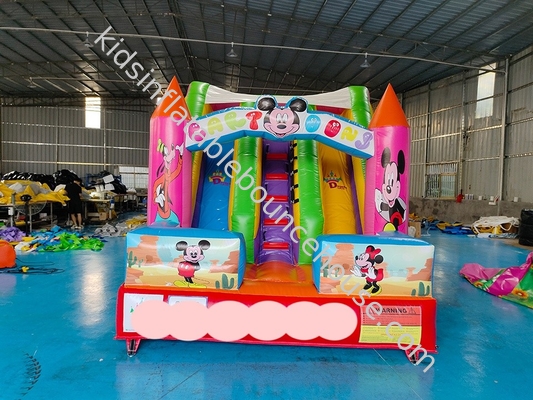 SGS Commercial Inflatabile Scivoli d'acqua a tema di cartone animato Bambino Casa rimbalzo Soffiare Up Jump House