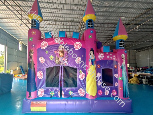 Commerciale Nuovo design castello gonfiabile Disney Princess Cartone animato casa gonfiabile con scivolo casa divertente salto