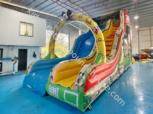 Commercial Outdoor Inflatable Dry Slide Castle Disney Mickey Mouse Cartoon Party Inflatable Dry Slide Per Bambini E Adulti