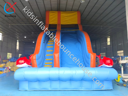 OEM/ODM Commercial Inflatable Slide Inflatable Dry Slides Outdoor