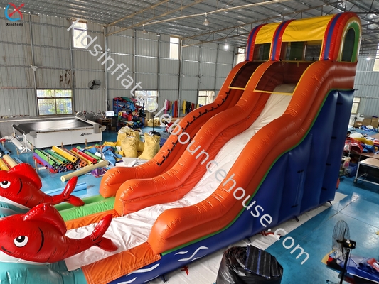 Slide gonfiabile per pesci rossi commerciali Slide gonfiabili asciutti per esterni